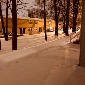 国产极品两年半一起草
