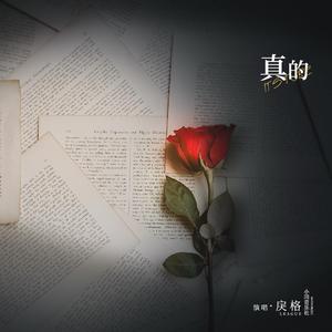 国产极品两年半一起草
